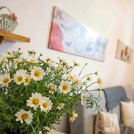 Apartmán Casa Jessica *